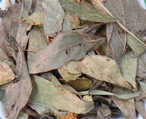 抹草純露 (250cc)